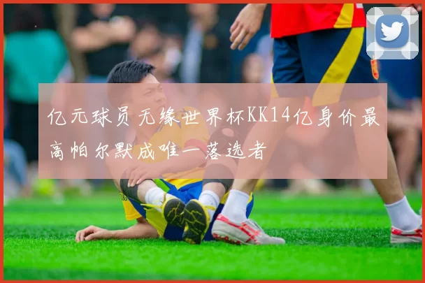 亿元球员无缘世界杯KK14亿身价最高帕尔默成唯一落选者