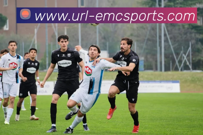 App Interface Preview