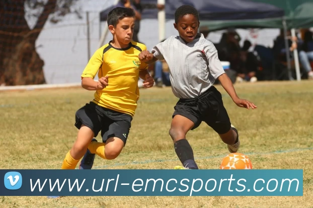 易倍体育APP 封面图